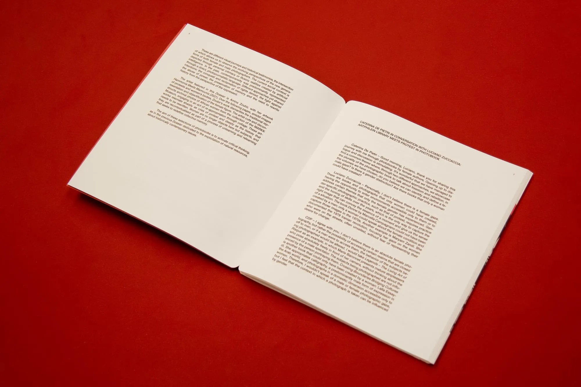 Artphilein Dossier 4 - Women's Voices: Against Power and Privileges