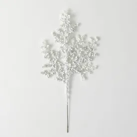 Frosted Juniper Berry Pick